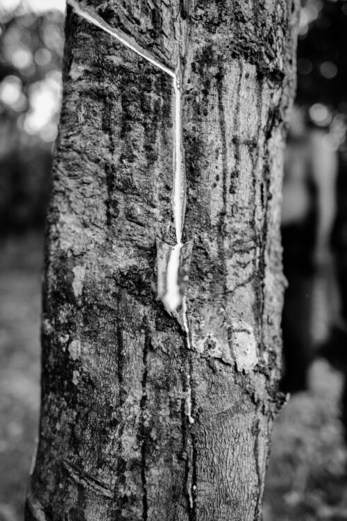 Fotografia di Ludovico Benedetto