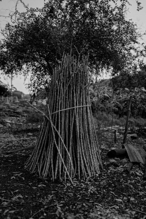 Fotografia di Ludovico Benedetto